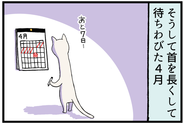 20260526一人っ子タイム3