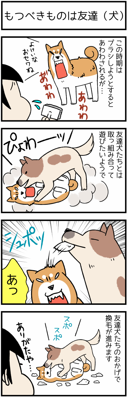 20181012もつべきものは1