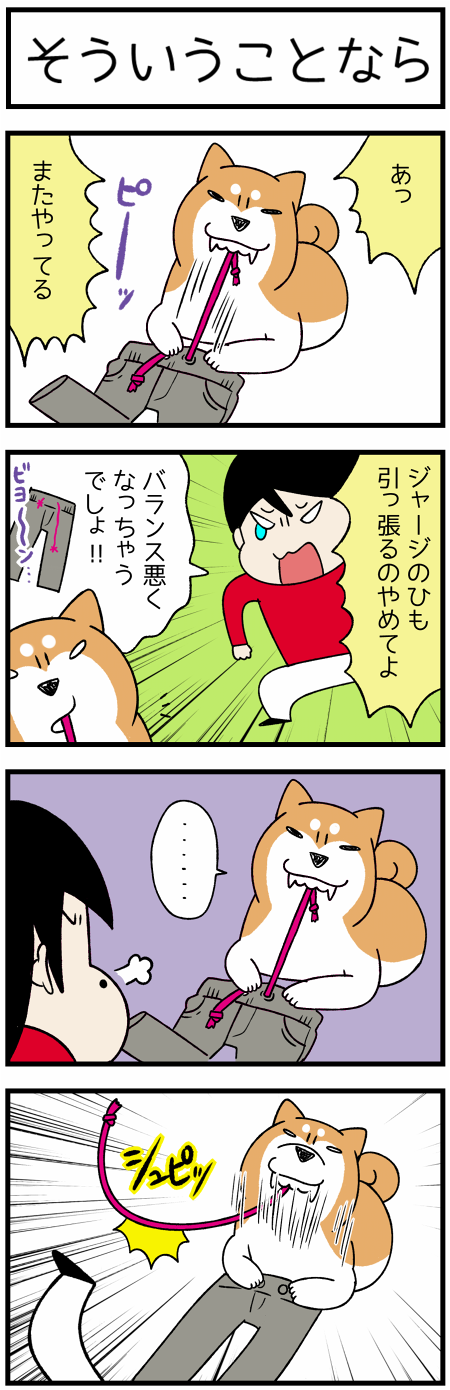 20201109紐と柴犬1