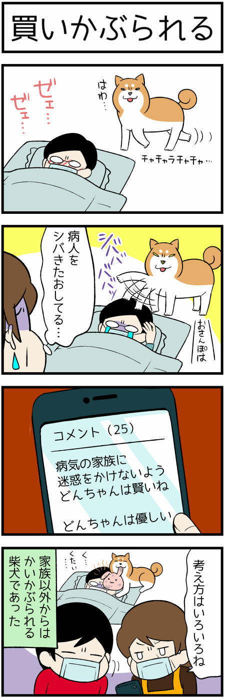 20181224買いかぶり1