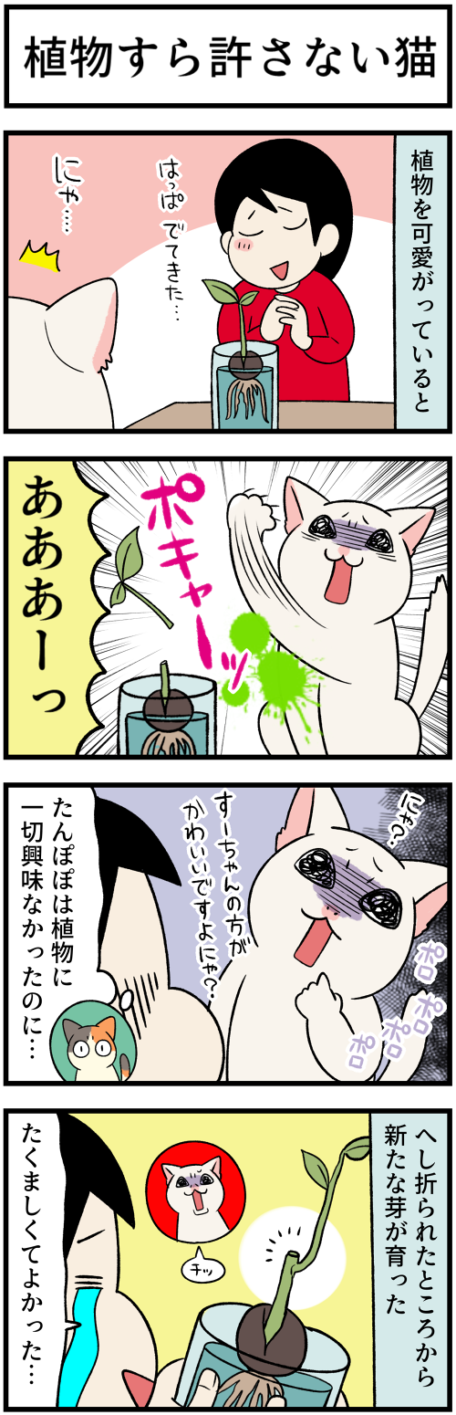 20220624植物と白猫1