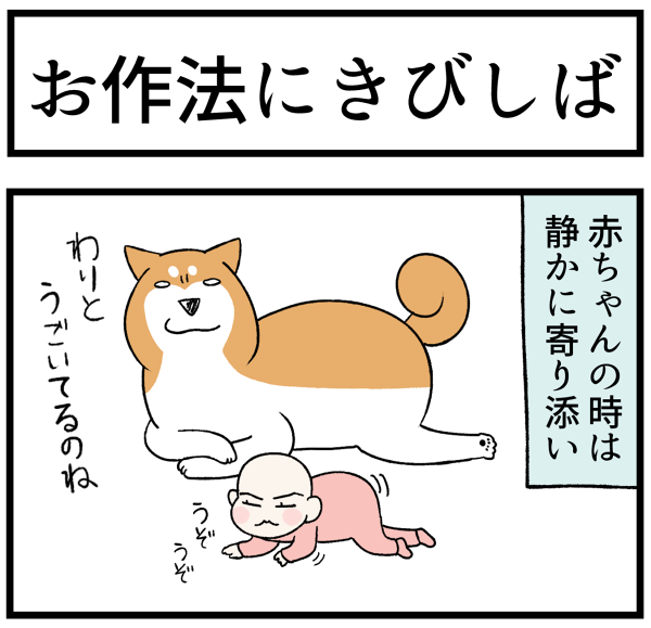 20260910作法にきびしば1