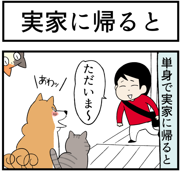 20260612実家に帰ると1
