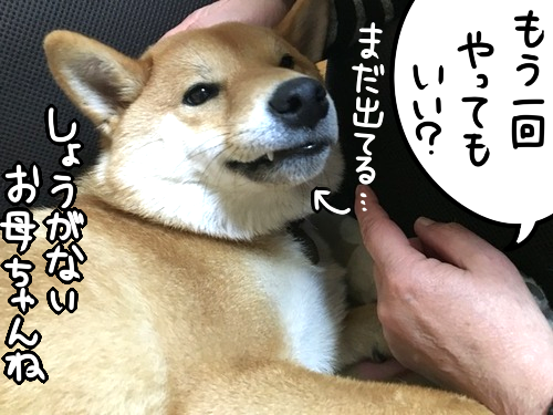 8scdmd3b