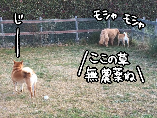 jh96nfop