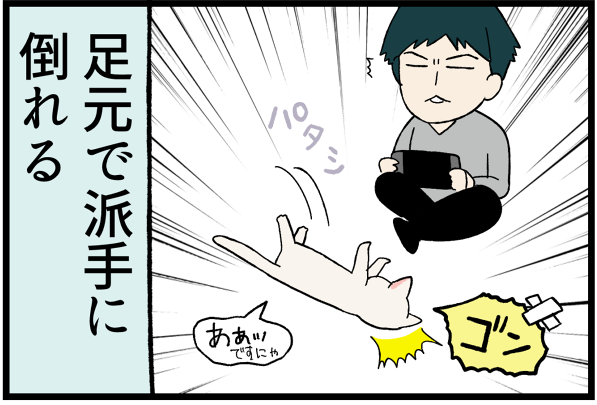 20260519かまってちゃん白猫2