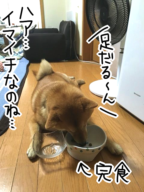 byuufn0f