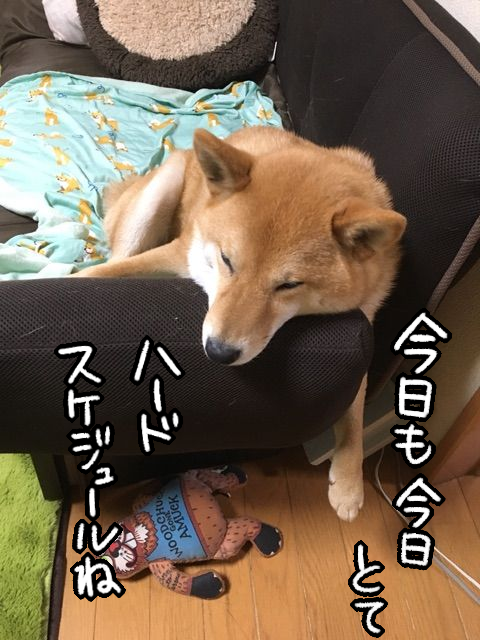 uirhobwp