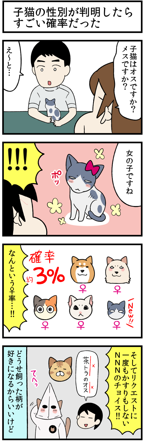 20211228運命の子猫31