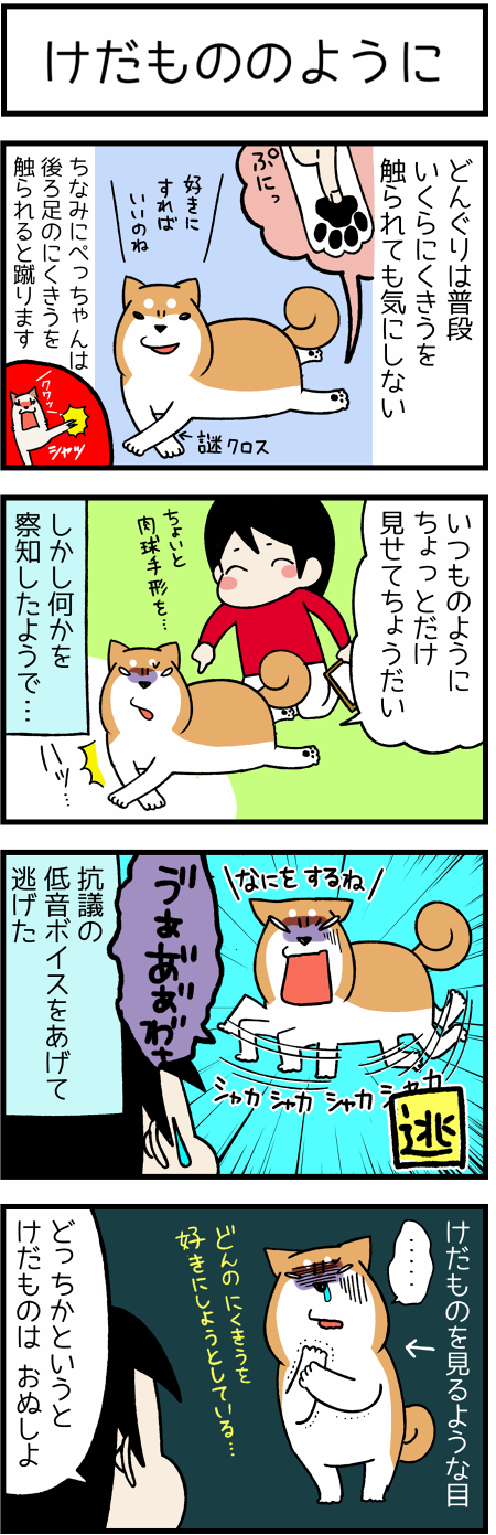 20170225はんこ21