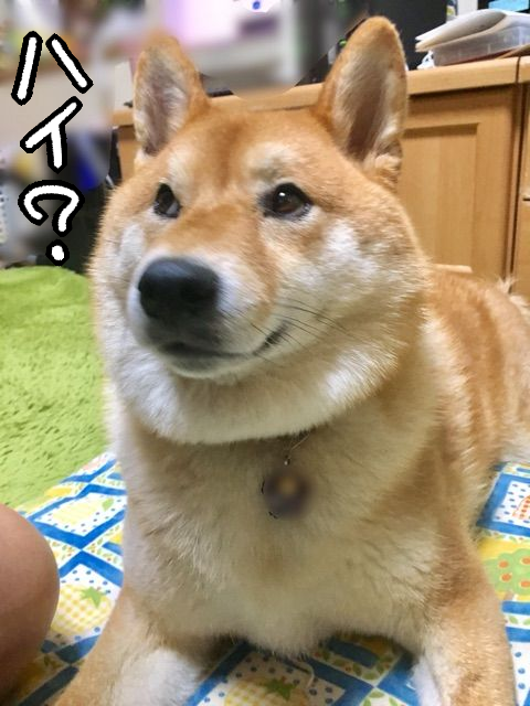 9s84qwpb