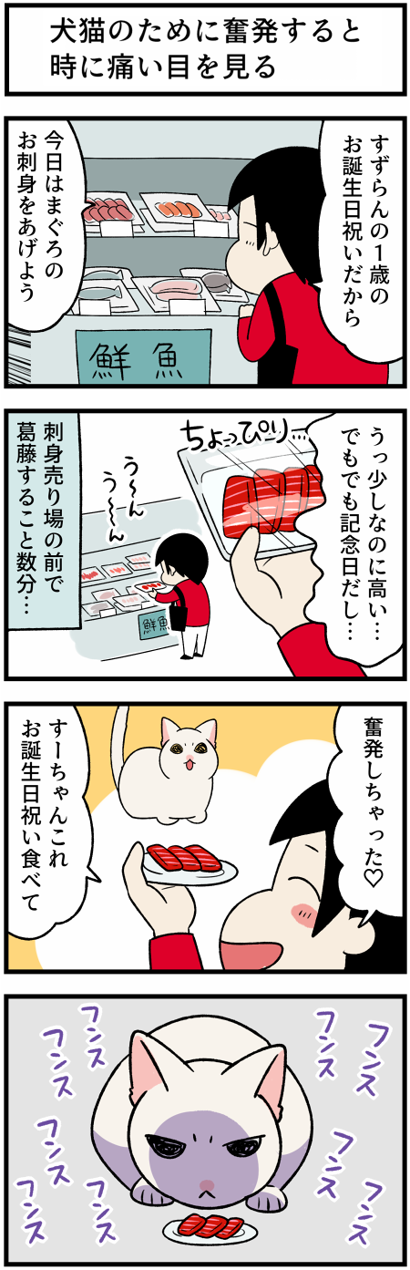 20211002マグロのお刺身1