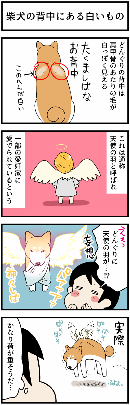 20211101天使の羽1