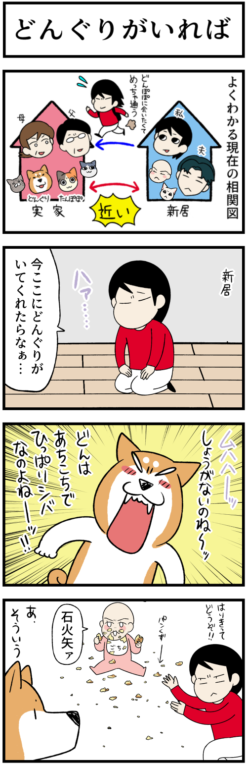 20231107どんぐりがいれば1