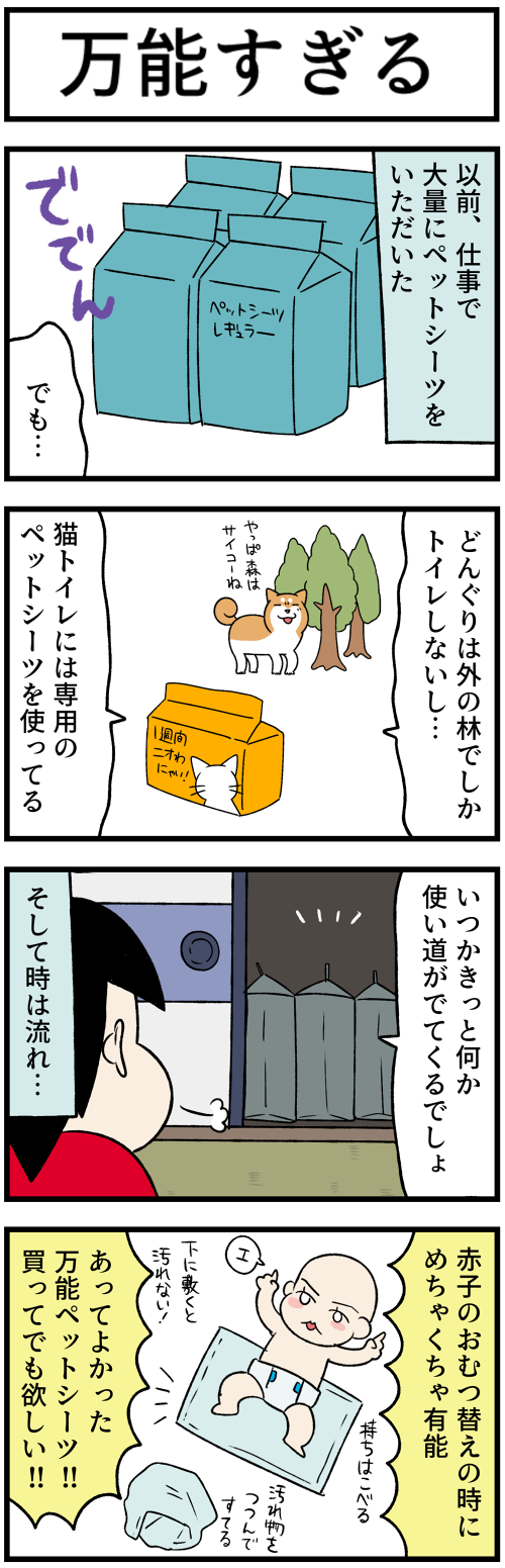 20230710ナワバリとペットシーツ2