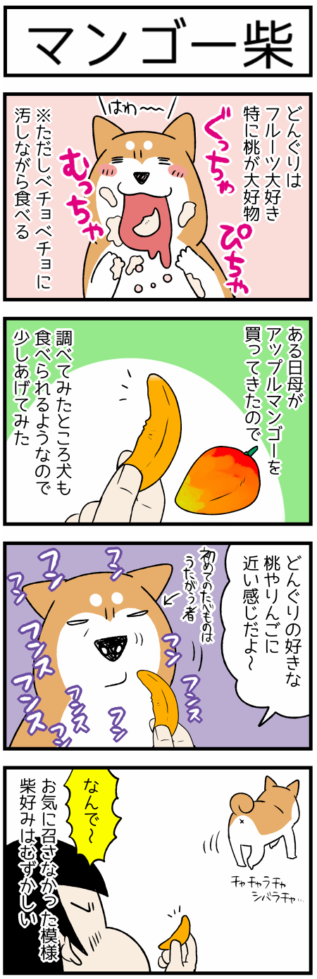 20200705マンゴー1