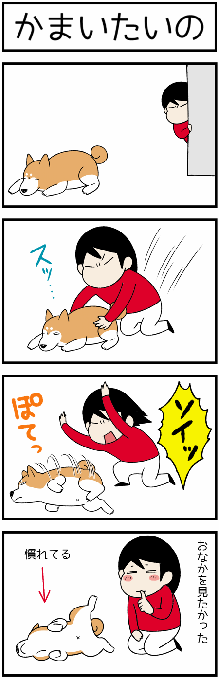 20201228ちょっかい2