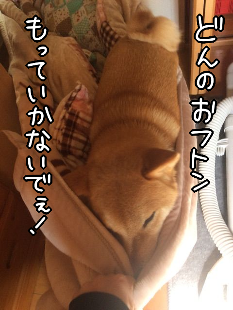 ho5w8zzn