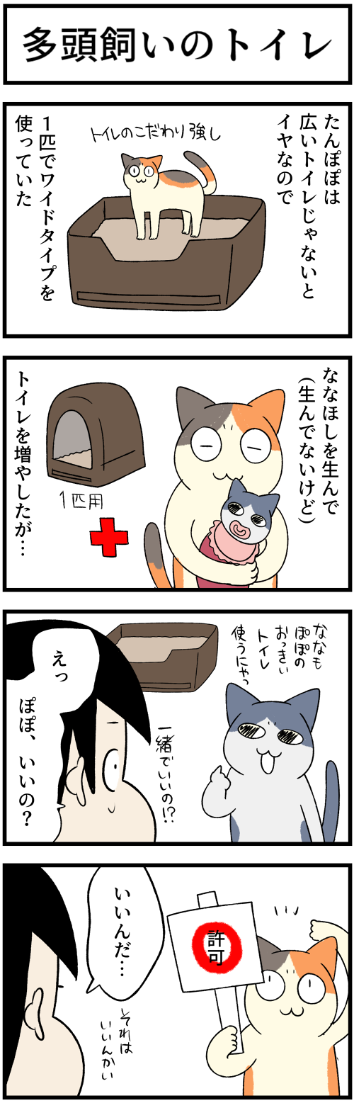 20230716多頭飼いのトイレ1