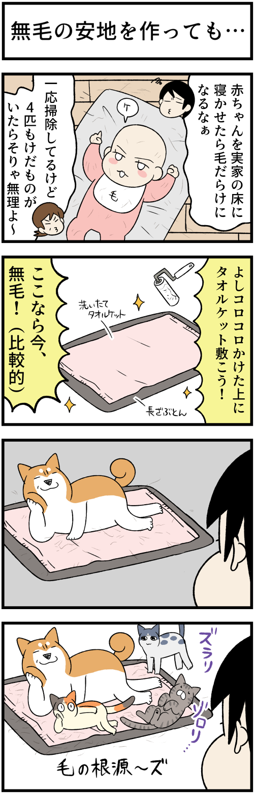 20230509無毛の安地1