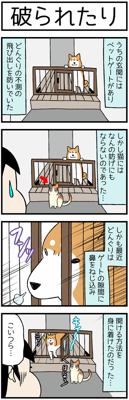 20200304破る者たち1