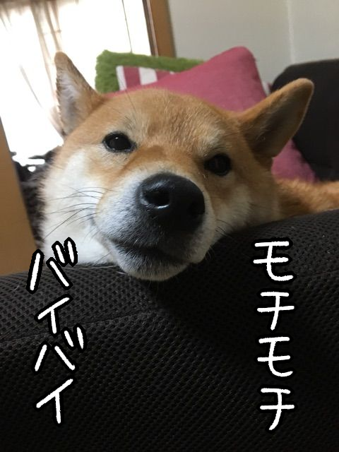 xi4bqgvu
