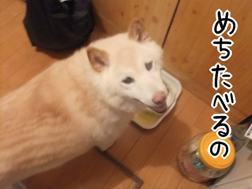 pjzjfgeo
