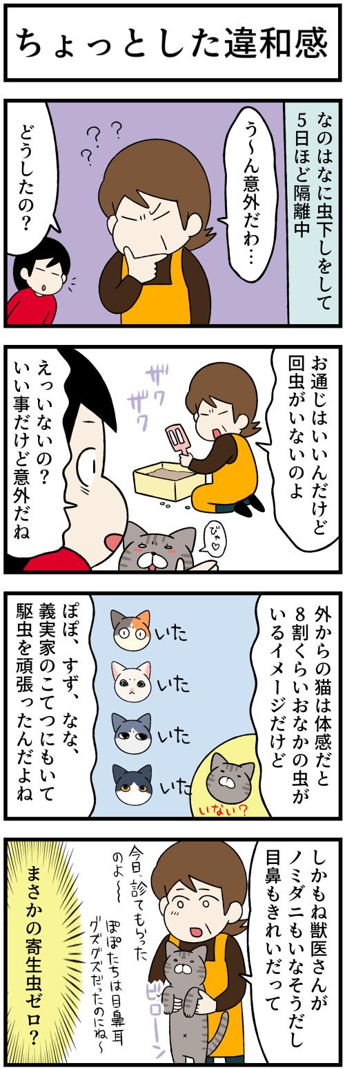 20220728キジトラの命名2