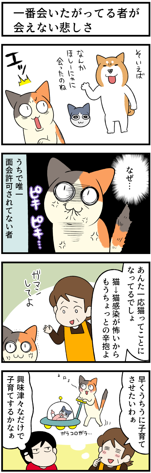 20220311猫っぽい生き物1