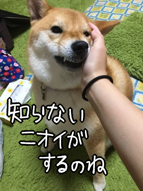 cvxuc7wc
