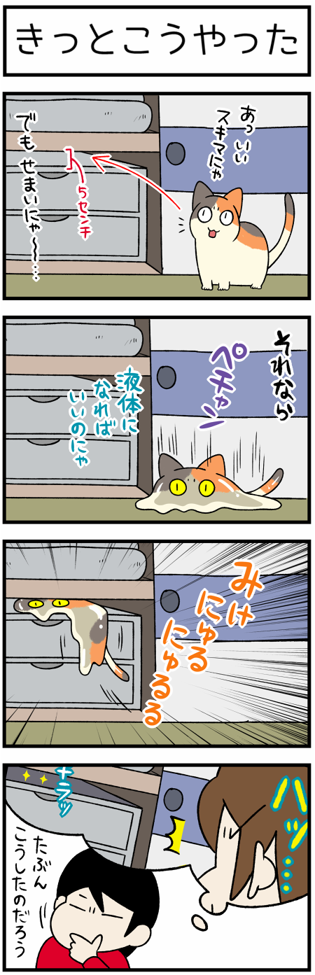20201106三毛は液体1