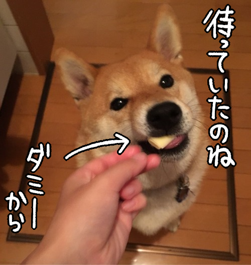 9q13ldvw