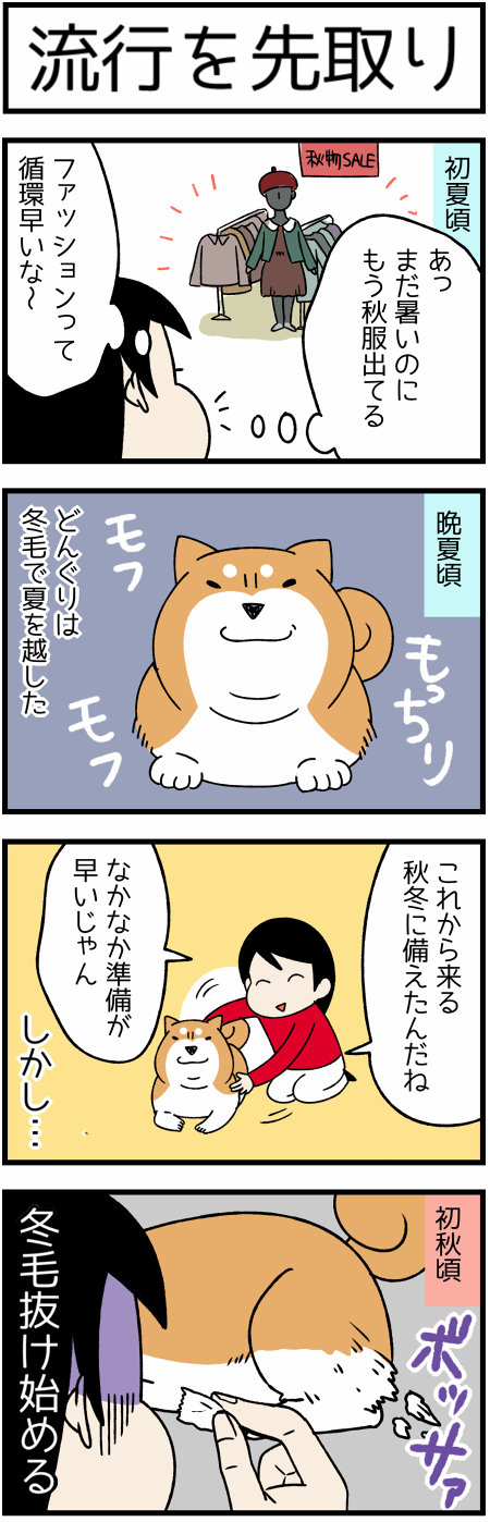 20171004先取り1
