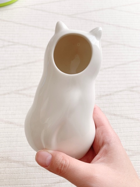 FullSizeRender