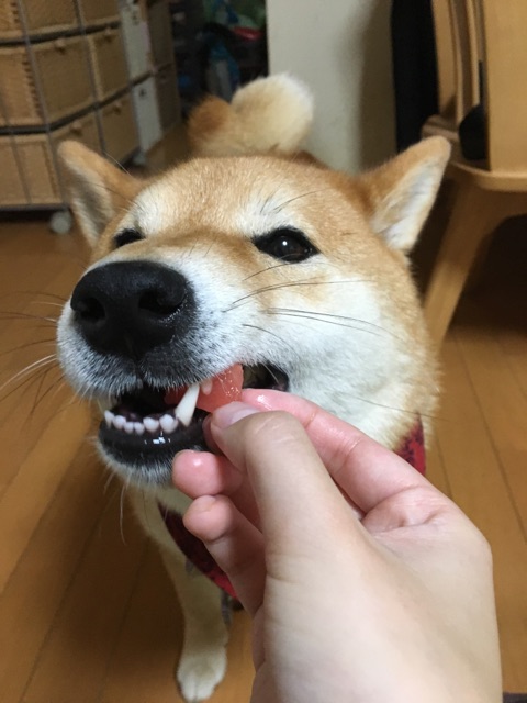 b6bcb0b9