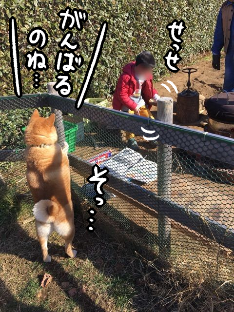 8c069f1c
