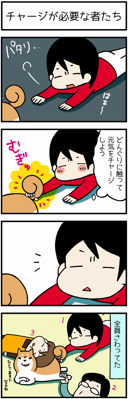 20170130チャージ1