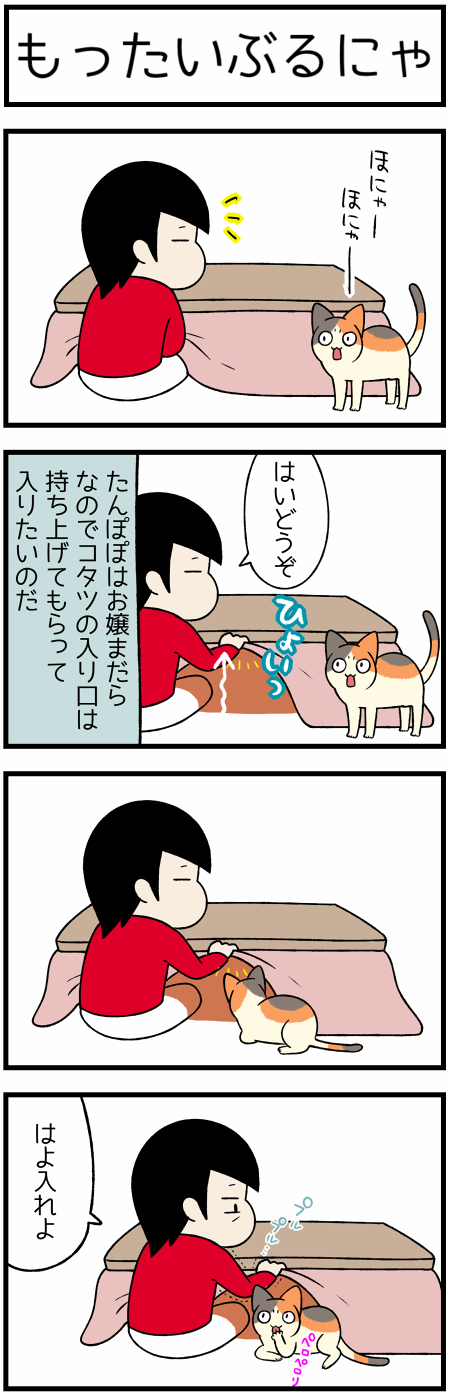 20201024お嬢ねこ1