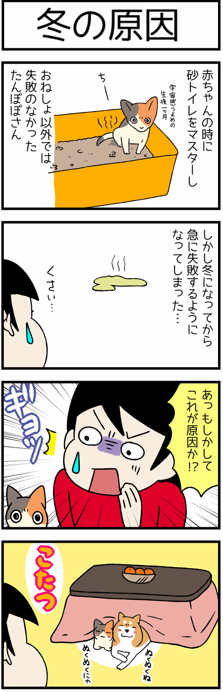 20200116コタツ1
