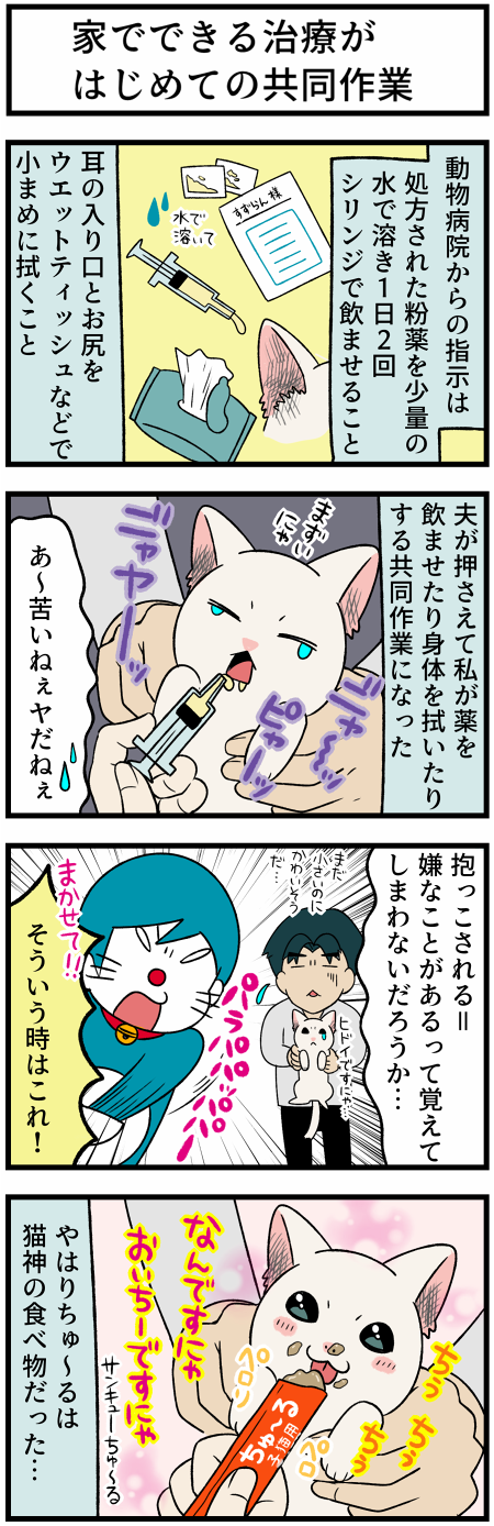 20210606ちゅ~る神殿1