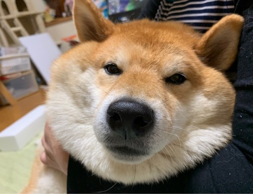 FullSizeRender