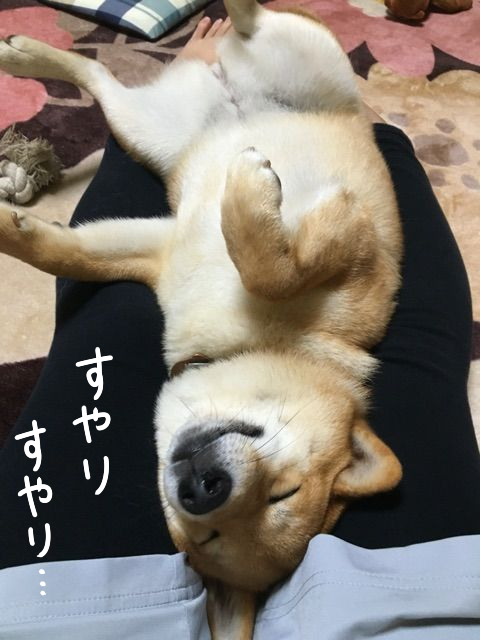 0meii284