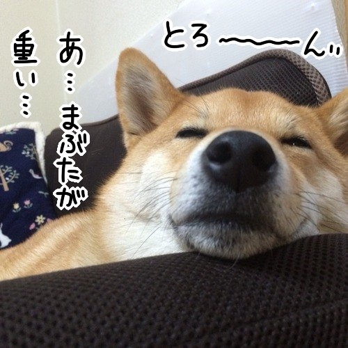 y2yzhlfu