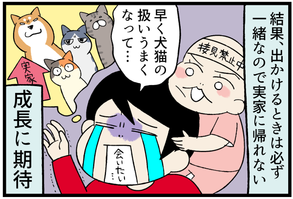 20260616憧れと現実4