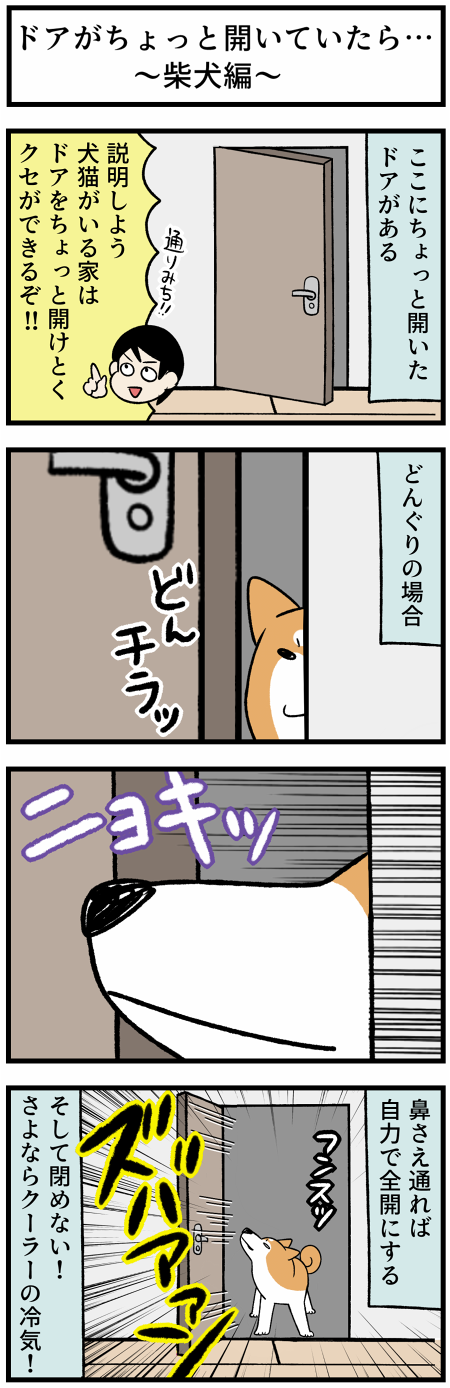 20210730犬猫とドア1