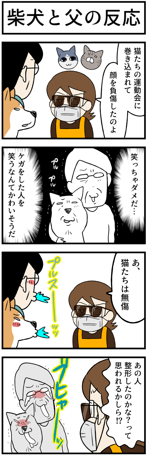 20230618柴犬と父の反応1 - コピー