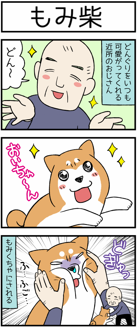 20200531もみ柴1
