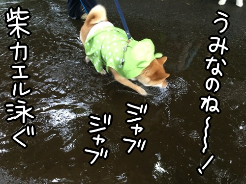 n7qbuukn