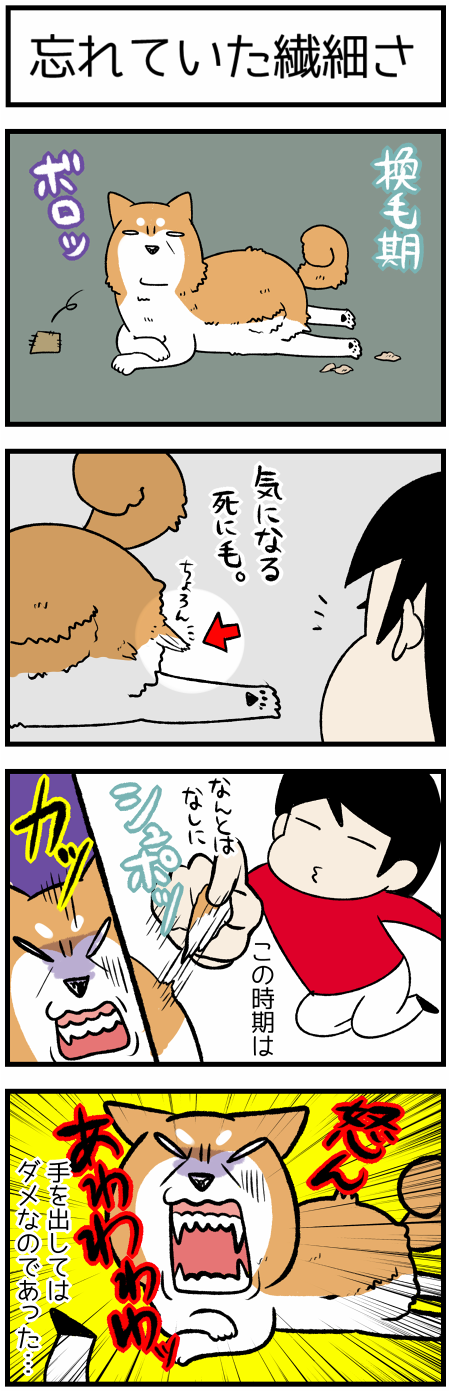 20200502忘れていた繊細さ1