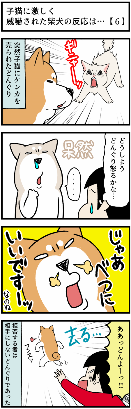 20210920子猫の反応2